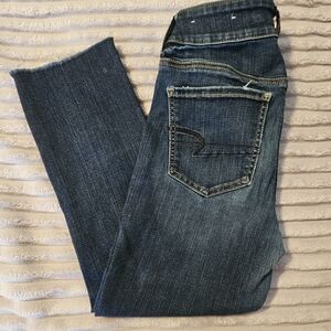 Artist Crop AE Womens Jeans